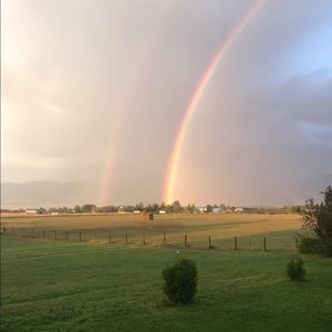 Meet your Posher, Blake